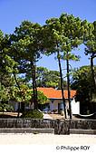 33F27905.jpg