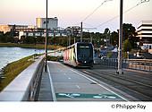 33F28239.jpg