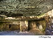 33F28818.jpg