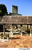 33F28827.jpg