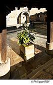 33F28829.jpg