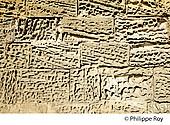 33F28837.jpg