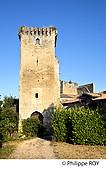 33F29320.jpg