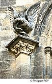 33F29324.jpg