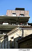 33F29437.jpg