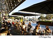 33F29721.jpg