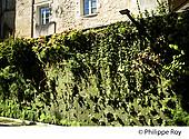 33F30228.jpg