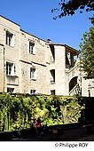 33F30229.jpg