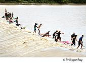 33F30437.jpg
