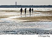 33F30526.jpg