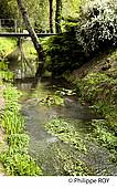 33F31621.jpg