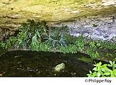 33F31732.jpg