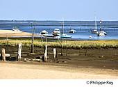 33F31833.jpg