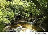 33F33040.jpg