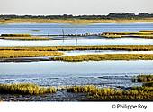 33F33226.jpg