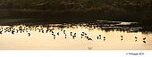 33F33529.jpg