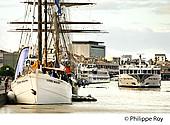33F33915.jpg