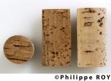 33V14507.jpg