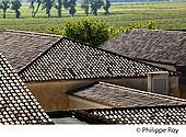 33V36739.jpg