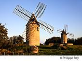 33V39019.jpg
