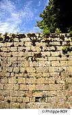 39F01435.jpg