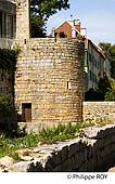 39F01436.jpg