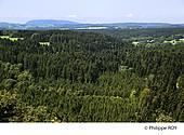 39F01512.jpg