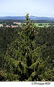 39F01516.jpg