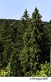 39F01517.jpg