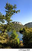 39F02238.jpg