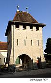 39F02313.jpg