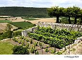 39F02320.jpg