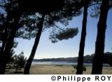 40F00705.jpg