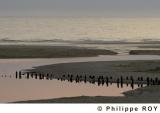 40F00911.jpg