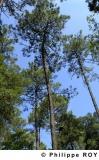 40F00921.jpg