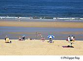 40F01237.jpg