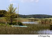 40F01305.jpg
