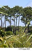 40F01313.jpg