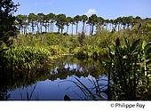 40F01317.jpg