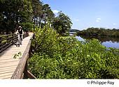 40F01321.jpg