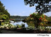 40F01327.jpg