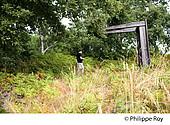 40F01738.jpg