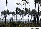 40F02032.jpg