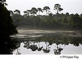 40F02033.jpg
