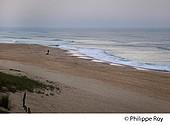 40F02239.jpg