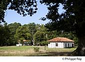 40F03021.jpg
