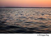 40F03117.jpg