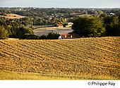 40F03517.jpg