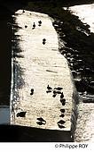 40F03720.jpg