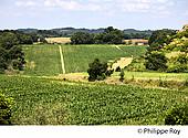40F03813.jpg